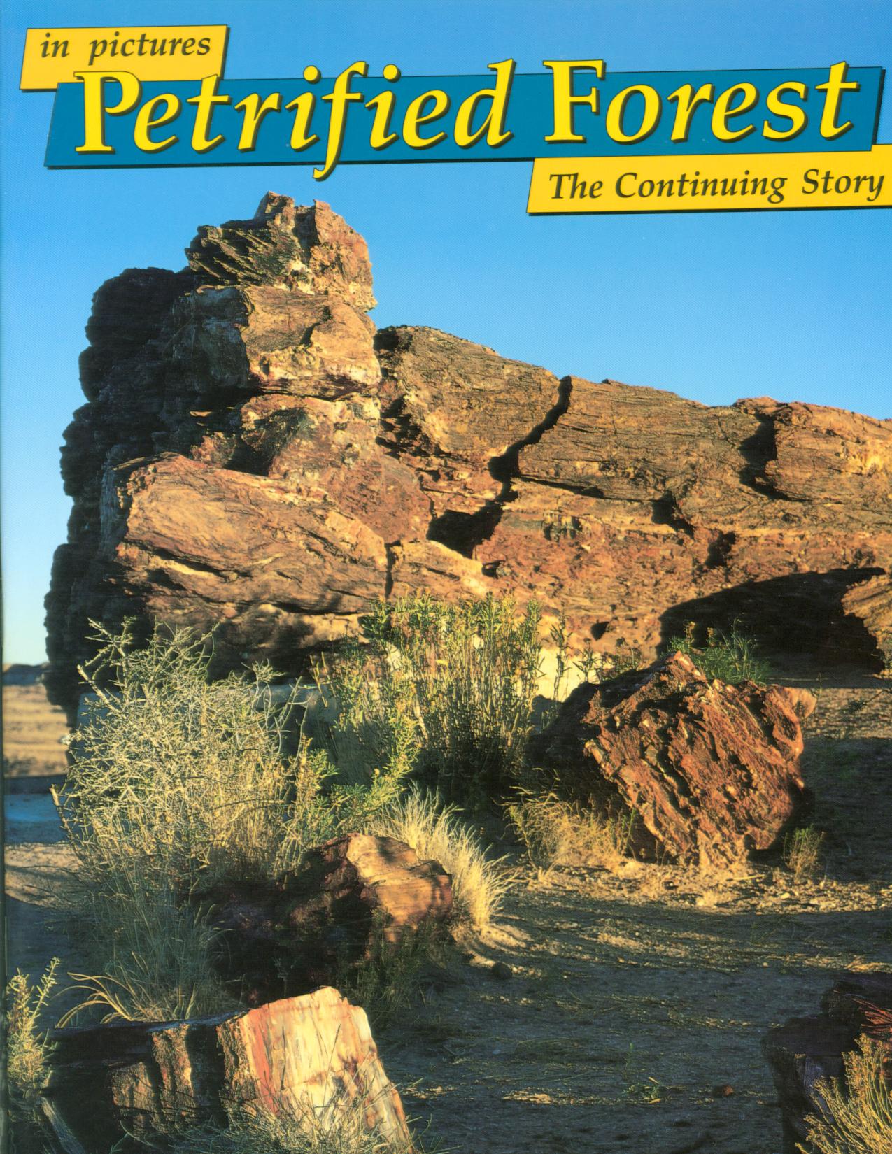 PETRIFIED FOREST IN PICTURES: the continuing story (AZ). 